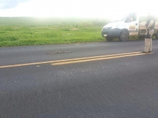 BR-153: Polícia captura cobra 