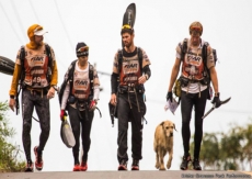 Atletas adotam cão companheiro da Amazônia