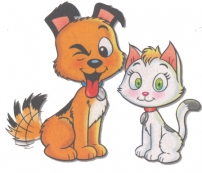 Vacinação contra raiva                         para os cães e gatos