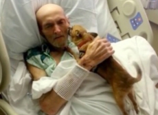 Idoso melhora ao reencontrar    cão perdido