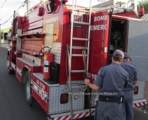 Enxame de maribondos assusta               pessoas no centro
