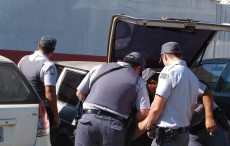Bandidos invadem sítio         e matam porcos