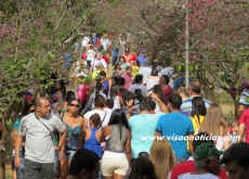 Cerejeiras atraem multidão          em Garça, com várias atrações