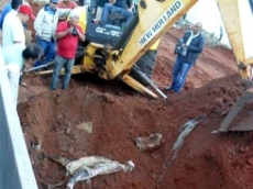 Idosa: rapaz confessa crime      em novo depoimento