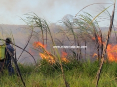 Tempo seco causa vários focos de incêndio