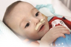 Drinks em prol do Pedrinho