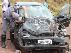 Motorista morre ao desviar                  de cachorro e bater em outro carro