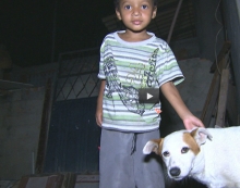 Cachorra encontra criança                desaparecida