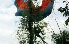 Homem é resgatado após                         parapente ficar preso a árvore