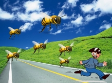 HÁ POUCO: Ataque de abelhas                       no centro da cidade