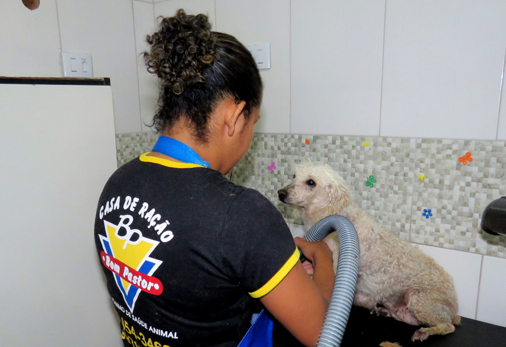 CENTRO VETERINÁRIO BOM PASTOR